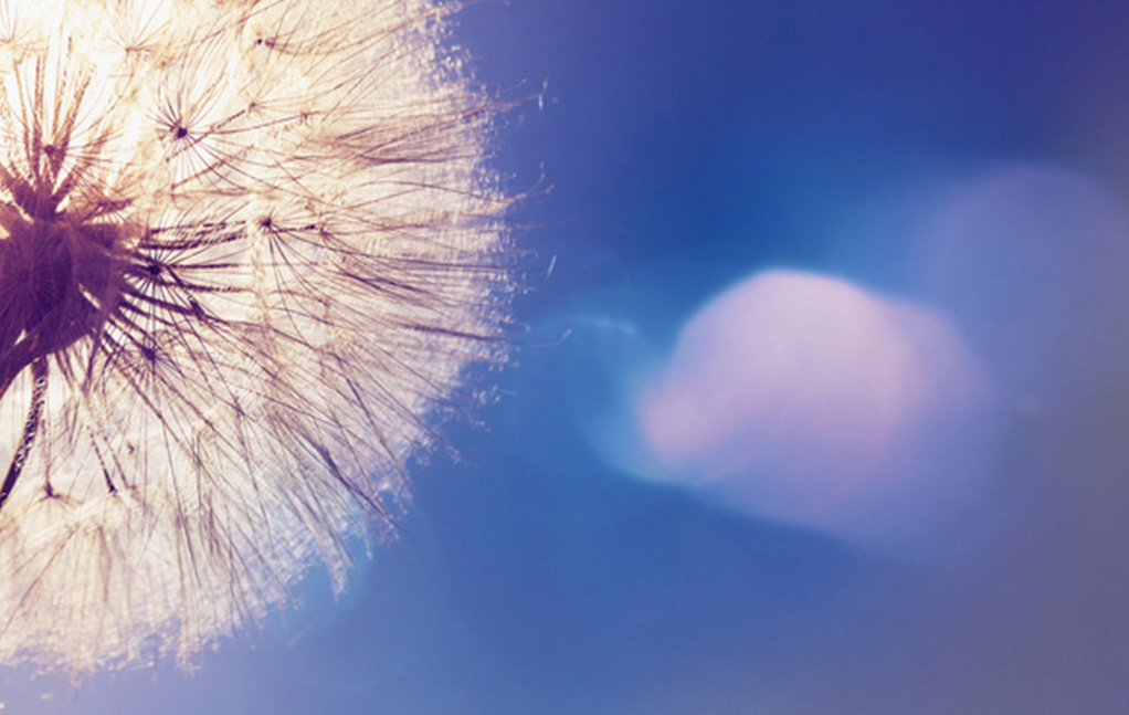 Z6尊龙·凯时(中国)官方网站